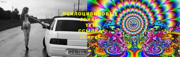 дмт Алзамай