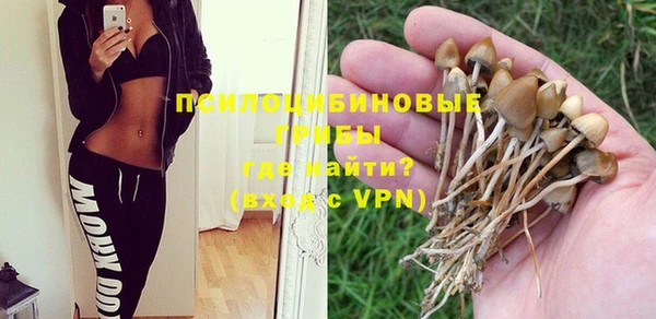 трава Алексин