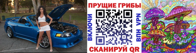 Галлюциногенные грибы MAGIC MUSHROOMS  Кимры 
