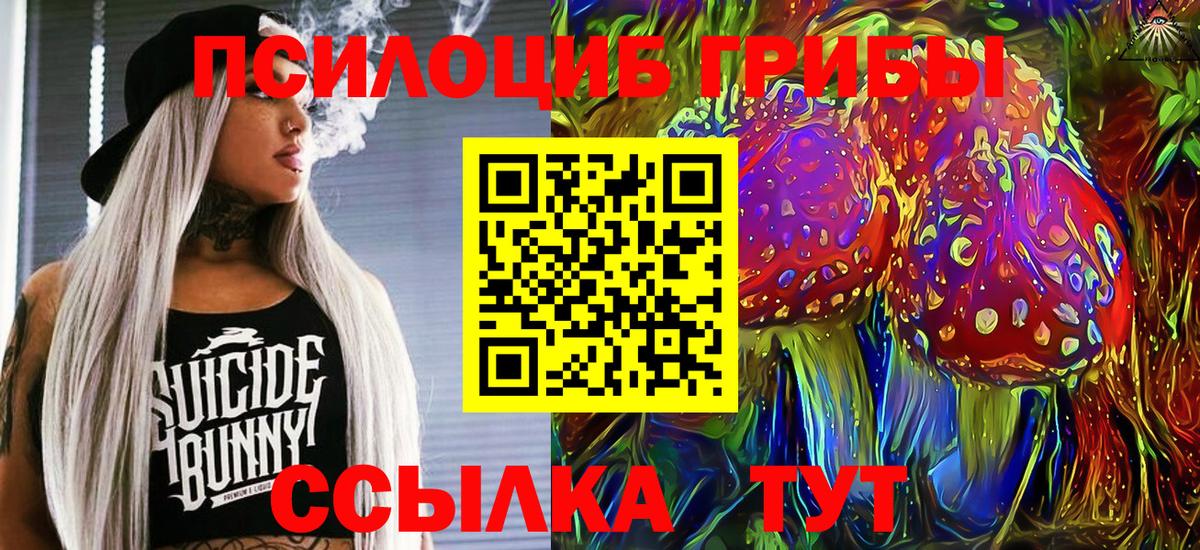 Кимры  Вход с VPN  Магазины продажи наркотиков  APVP СОЛЬ кристаллы  НБОМе  МАРИХУАНА  Меф МЯУ МЯУ   Гашиш 